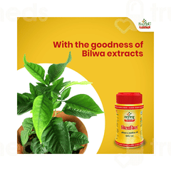 Sandu Bilagyl Powder 250gm