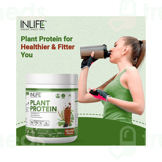 Inlife Vegan Plant Chocolate Flavour Protein Powder 500Gm