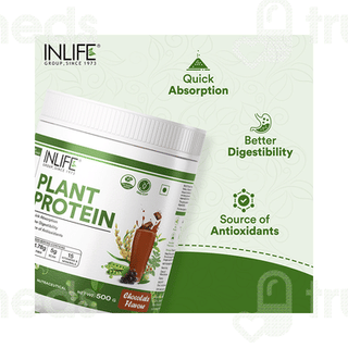 Inlife Vegan Plant Chocolate Flavour Protein Powder 500Gm
