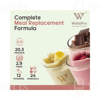 Wellspro Slimfit Shake Mango Flavour Protein Powder 500 GM
