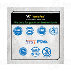 Wellspro Slimfit Shake Mango Flavour Protein Powder 500 GM