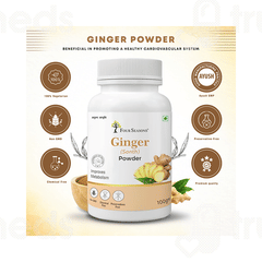 Four Seasons Ginger (sonth) Powder 100 GM