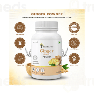 Four Seasons Ginger (sonth) Powder 100 GM