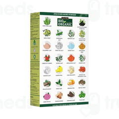 Indus Valley Bio Organic Amla Fruit Powder 100 GM