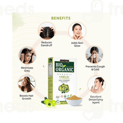 Indus Valley Bio Organic Amla Fruit Powder 100 GM