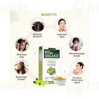 Indus Valley Bio Organic Amla Fruit Powder 100 GM