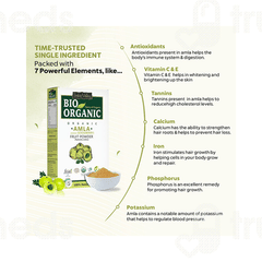 Indus Valley Bio Organic Amla Fruit Powder 100 GM