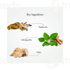 Sitaram Ayurveda Asthra Plus Powder 225Gm