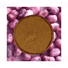 Stamio Jamun Seed Powder 750Gm