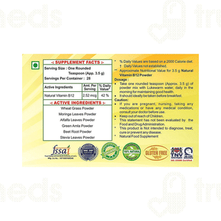 Geofresh Natural Vitamin B12 Powder 100Gm
