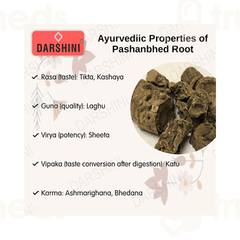 Darshini Pashanbhed Powder 200gm