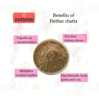 Darshini Pashanbhed Powder 200gm
