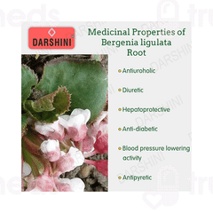 Darshini Pashanbhed Powder 200gm