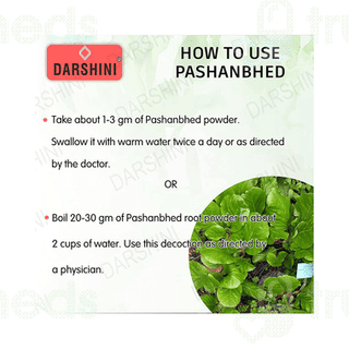 Darshini Pashanbhed Powder 200gm