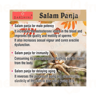 Darshini Salam Panja Powder 25gm
