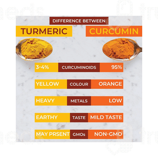 Saptamveda Organic Curcumin Powder 50gm