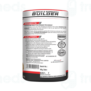Eligator Pre Workout Fruit Punch 320Gm