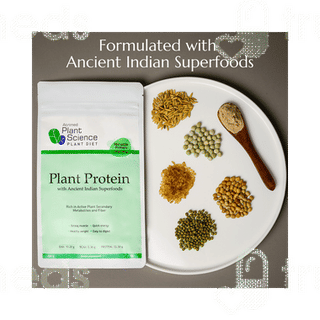 Atrimed Plant Science Plant Protein Powder 500gm