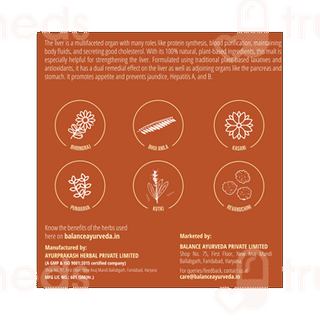 Balance Ayurveda The Balance Liver Malt 300gm