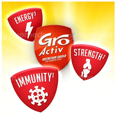 Groactiv Nutrition Shield For Growing Child 2+ Years Chocolate Flavour Powder 400gm