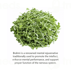 Jain Brahmi Powder 400gm