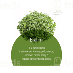 Jain Brahmi Powder 800gm