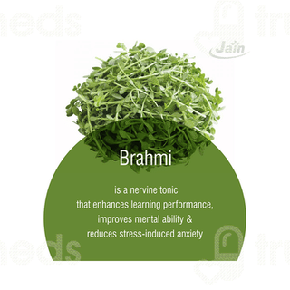 Jain Brahmi Powder 800gm