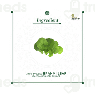 Khadi Natural Brahmi Leaf Organic Powder 100gm