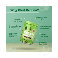 Origin Nutrition Daily Vegan Protein Unflavored No Added Sugar 250Gm