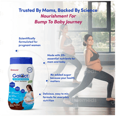 Galact Plus Choco Hazelnut Flavour No Added Sugar Powder 400gm