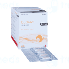 Budesal 0.5mg 2ml Pack Of 5 Respules