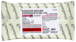 Budechem 0.5 2ml Pack Of 5 Respules