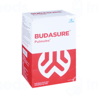 Budasure 2ml Pack Of 5 Pulmules