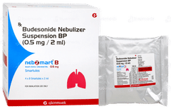 Nebzmart B 0.5mg 2ml Pack Of 8 Smartules Nebzmart B 0.5mg 2ml Pack Of 8 Smartules