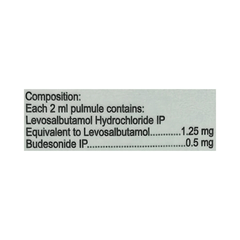 Budasure L 2ml Pack Of 5 Pulmules Budasure L 2ml Pack Of 5 Pulmules
