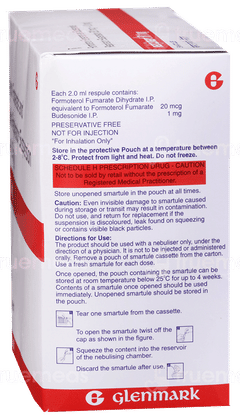 Nebzmart Fb 1Mg 2Ml Pack Of 10 Smartules