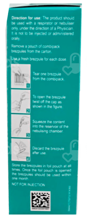 Asthakind L 0.63 2.5Ml Brezpules Pack Of 5