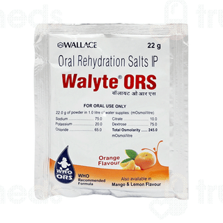 Walyte Ors Orange Flavour Powder 22Gm
