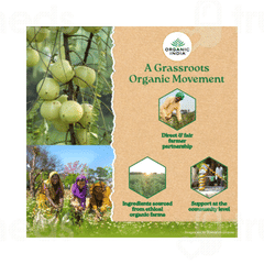 Organic India Ashwagandha Tulsi Green Tea Sachet 25