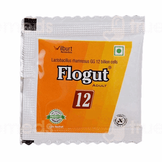Flogut Adult 12 Sugar Free Sachet 1Gm