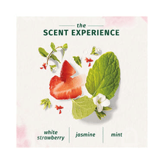 Herbal Essences Bio Renew Clean White Strawberry And Sweet Mint Shampoo 400 ML