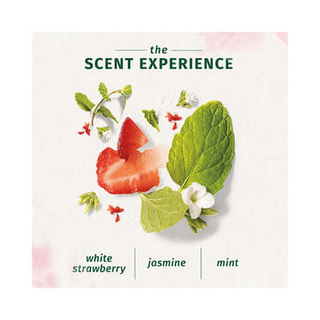 Herbal Essences Bio Renew Clean White Strawberry And Sweet Mint Shampoo 400 ML