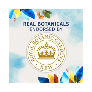 Herbal Essences Bio Renew Repair Argan Oil Of Morocco Conditioner 400 ML