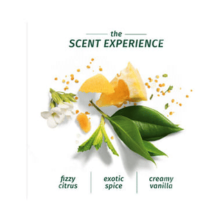 Herbal Essences Bio Renew Repair Argan Oil Of Morocco Conditioner 400 ML