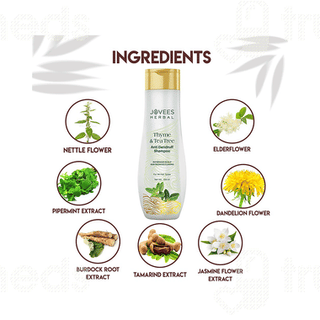 Jovees Thyme & Tea Tree Anti Dandruff Shampoo 300 ML