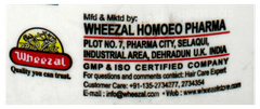 Wheezal Arnica Hair N Scalp Shampoo 200Ml
