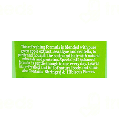 Biotique Bio Green Apple Shine And Gloss Shampoo And Conditioner 340 ML