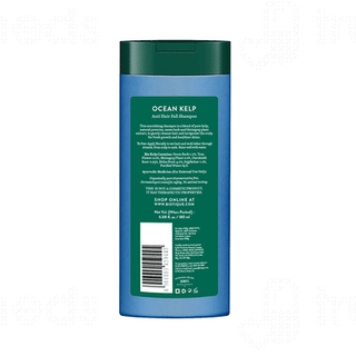 Biotique Ocean Kelp Anti Hair Fall Shampoo 180Ml