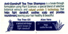 Himalaya New Anti Dandruff Tea Tree Shampoo 180Ml With Himalaya Neem & Turmeric Soap 75Gm Free