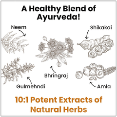 Myupchar Ayurveda Kesh Art Bhringaraj Anti Dandruff Shampoo 200ml